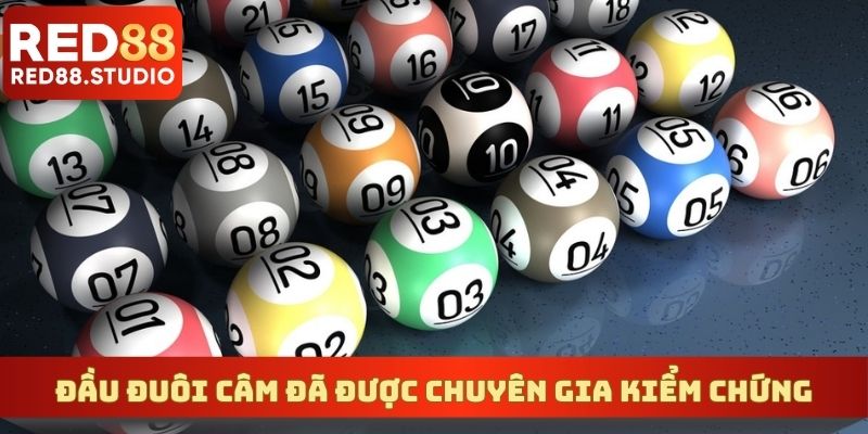 Đầu đuôi câm đã được chuyên gia trong ngành kiểm chứng