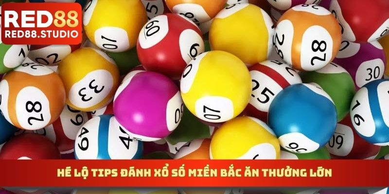 Hé lộ tips đánh xổ số miền Bắc ăn thưởng lớn