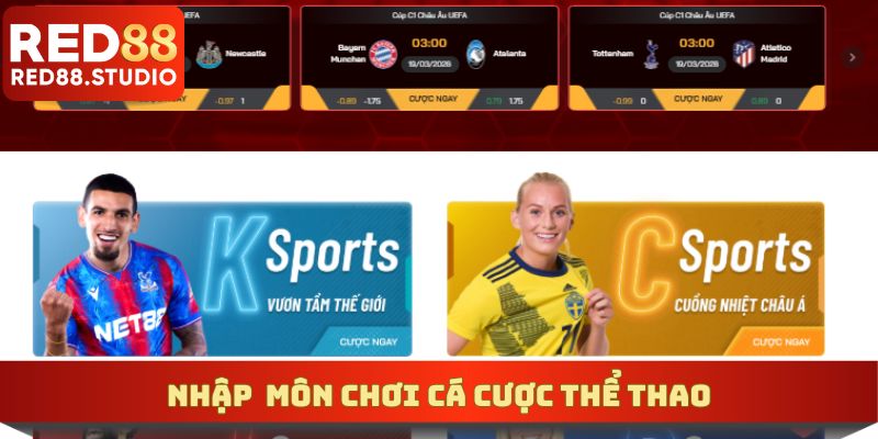 Nhập môn chơi cá cược thể thao